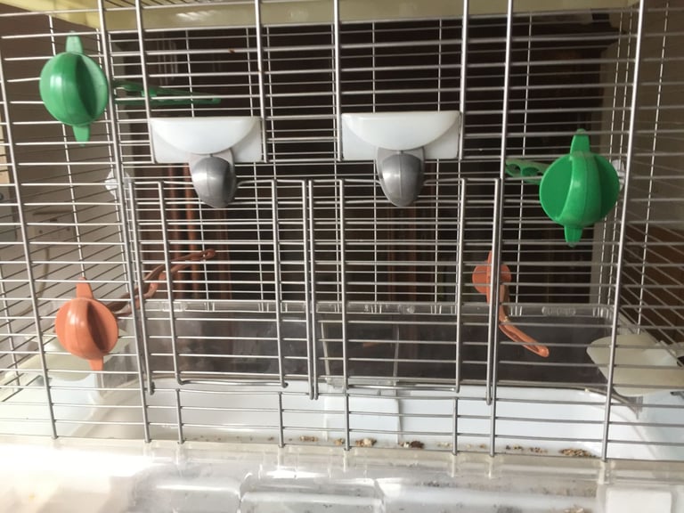 vision bird cage smaller size - see pictures