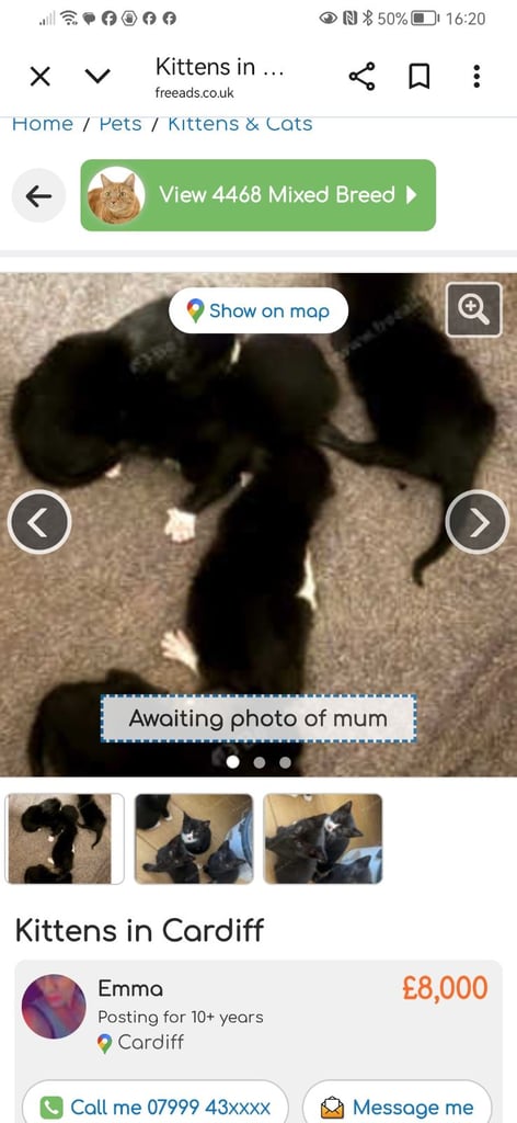 Only 2 black and white left
