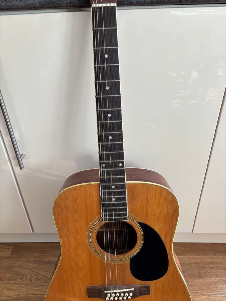 image for Saehan 12 string acoustic guitar