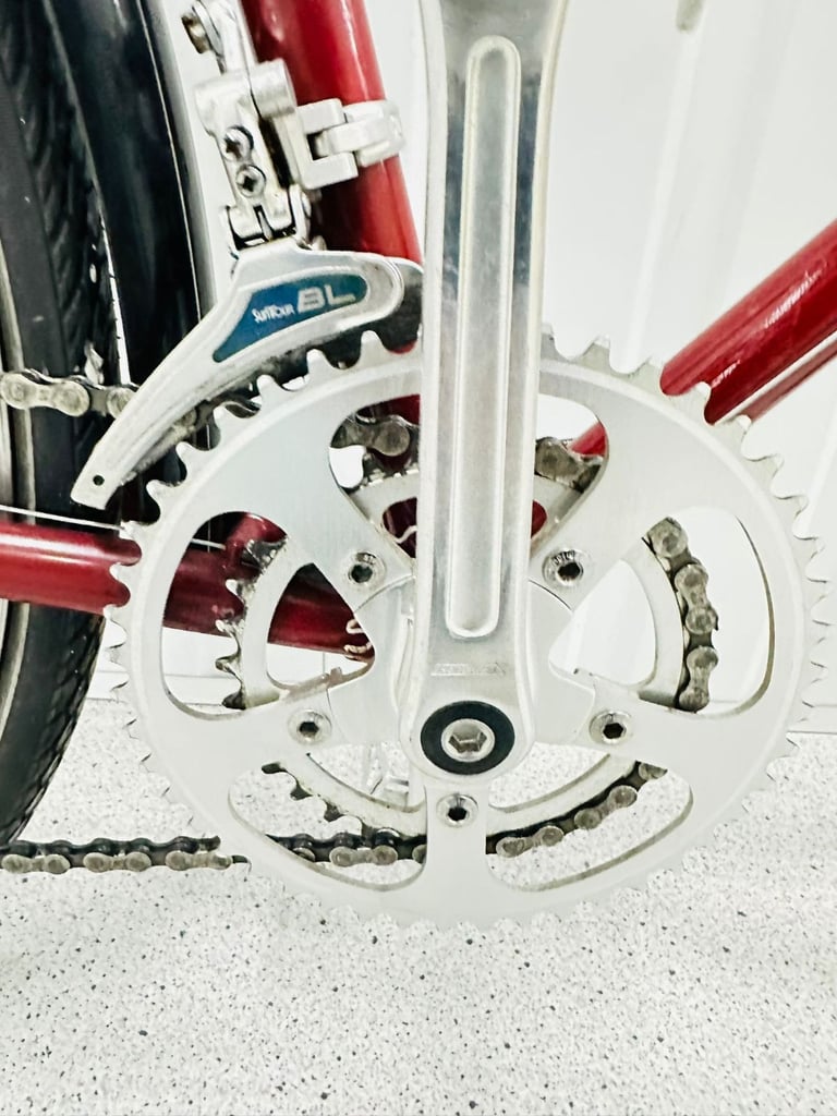 Rare Vintage CARPAINTER Size/58 cm Stunning Lugwork Road Bike