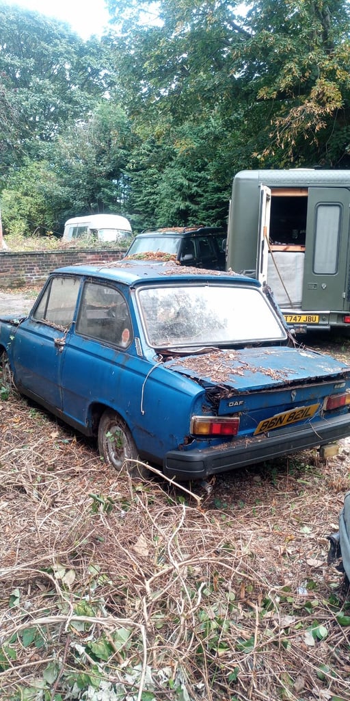 Vintage classic Daf 66 Deluxe 