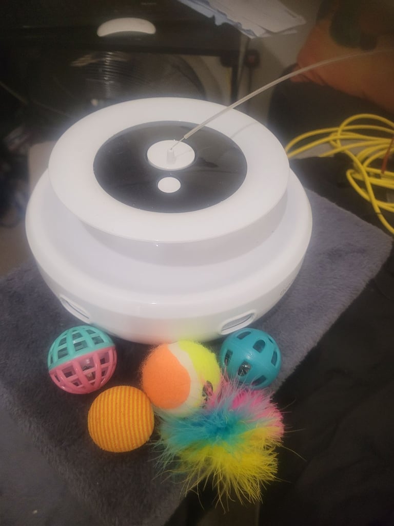 🐾 Complete Cat/Kitten Starter Bundle – Everything You Need! 🐾