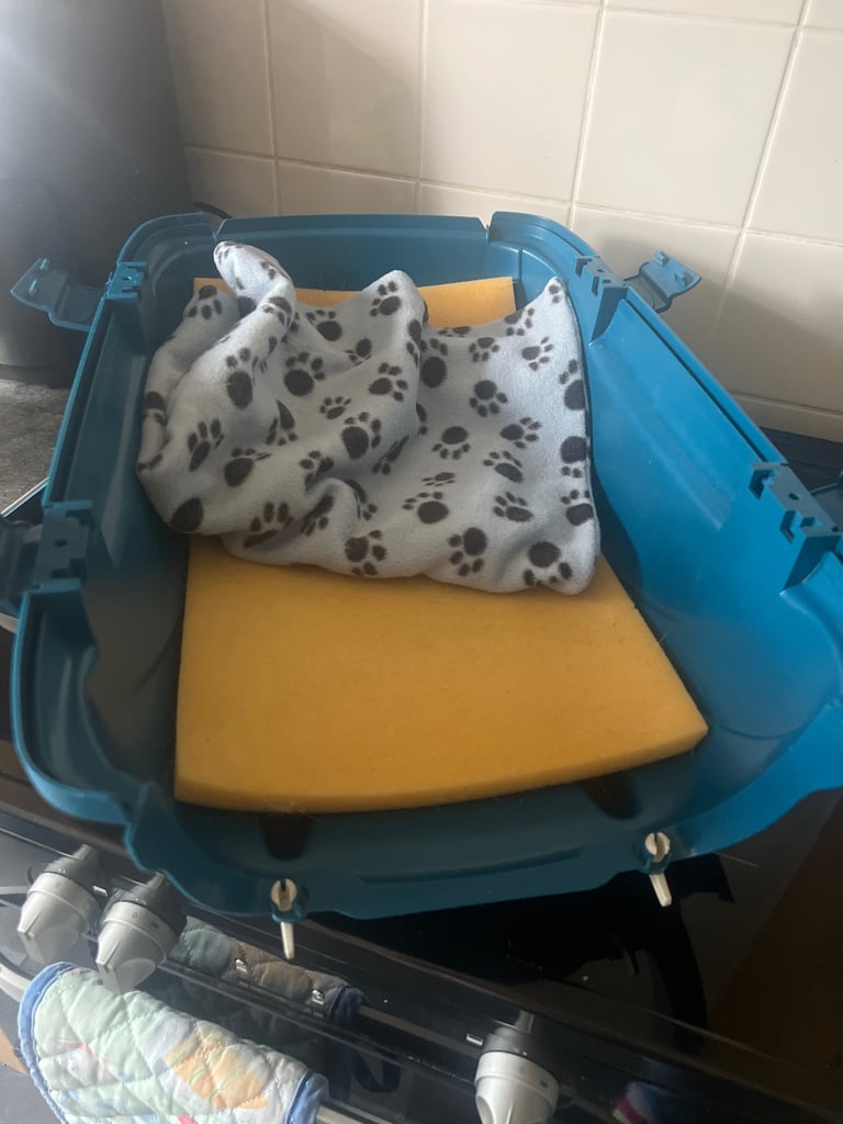 Dog/cat carry crate vgc