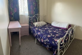 Room for Single female preference in BS13 