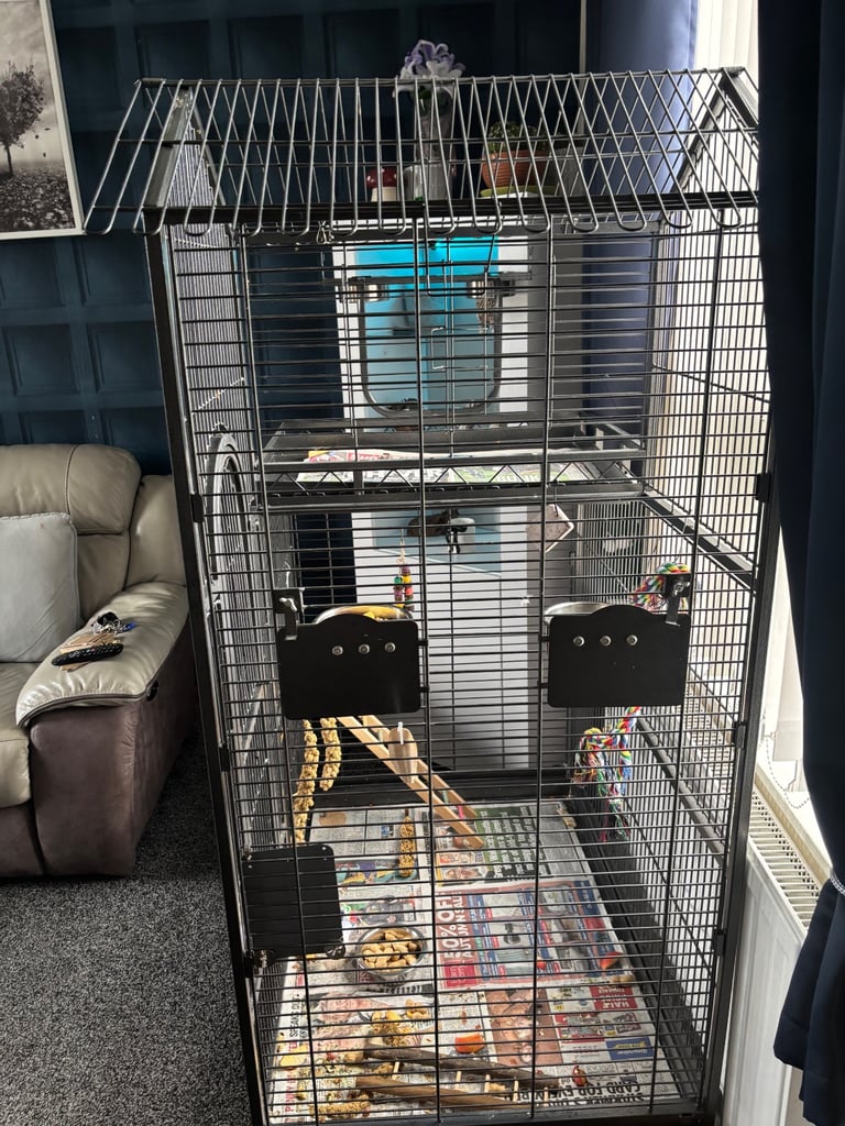 Parrot cage 