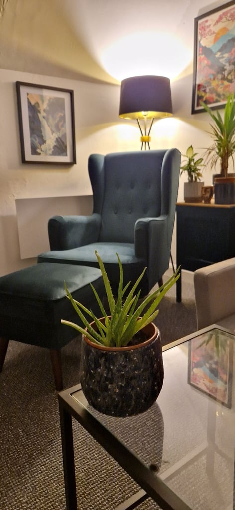 Peacock velvet Armchair with matching footstool 
