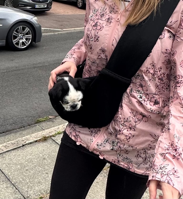 Puppy Carry Sling Carrier Cat Manchester