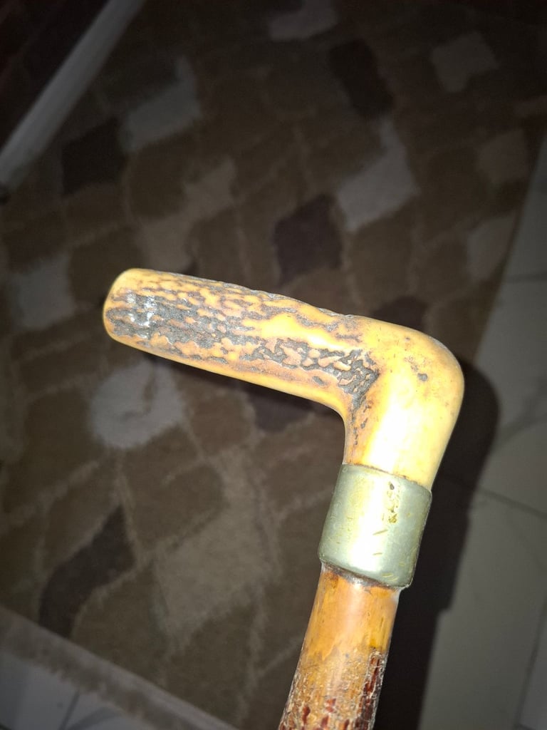 image for walking stick 