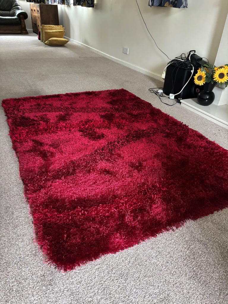 image for Dunelm “vibe” rug 170x120 