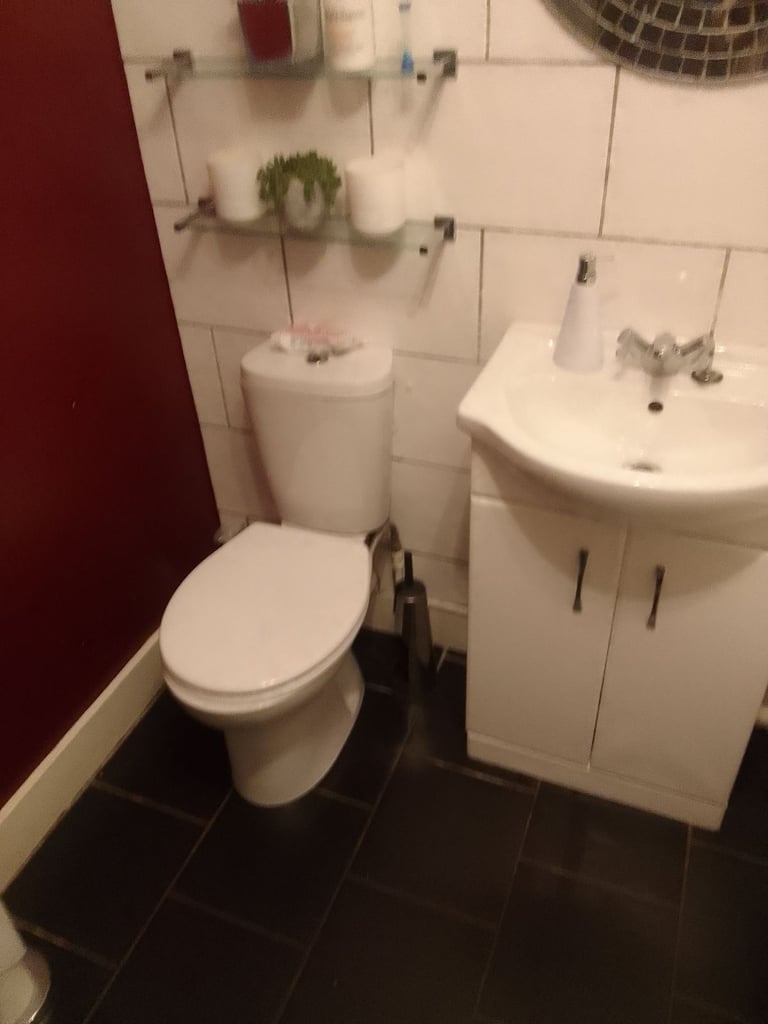 Experience professional plumbing services 