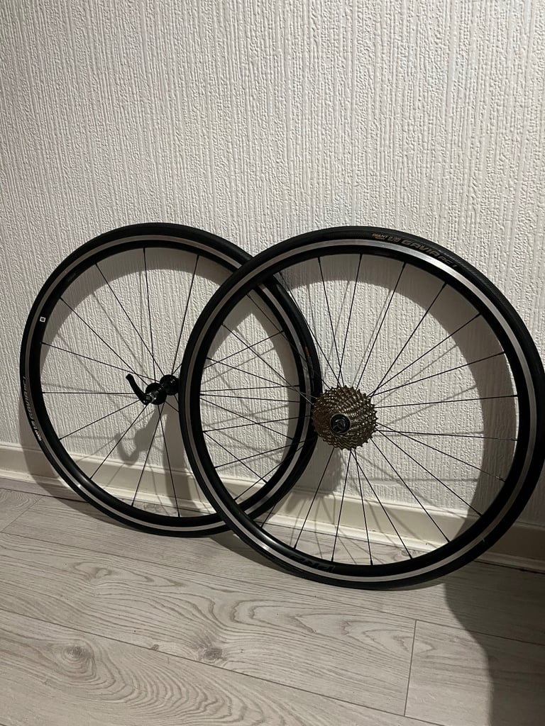 Giant TCR Advanced 2 2023 Medium 