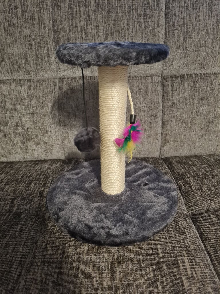 Cat scratcher 