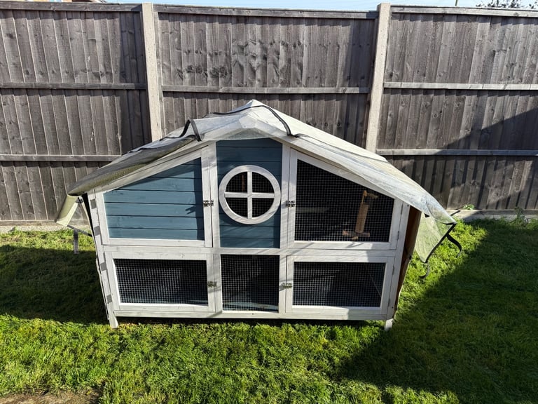 Guinea pig/ rabbit hutch 