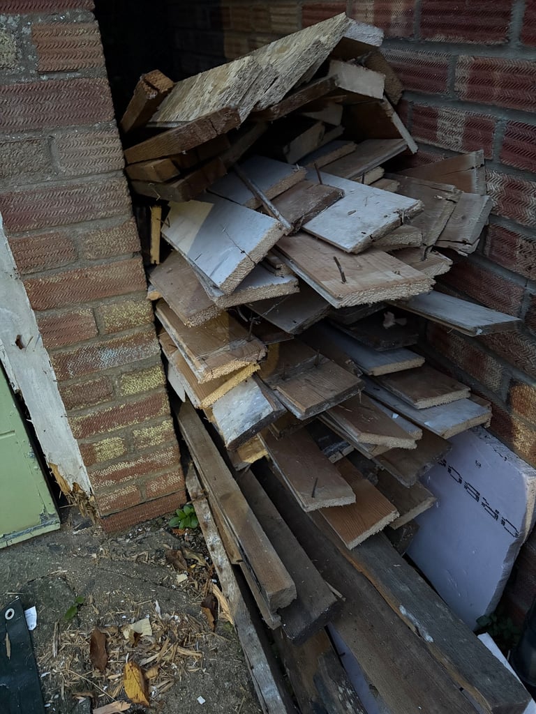 Free timber woods for collection