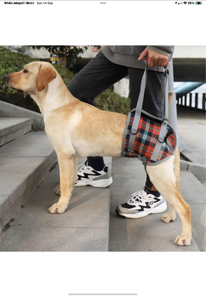 Brand new dog support harness 