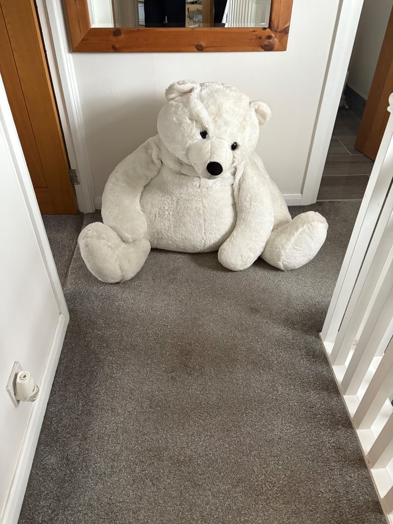 Polar bear teddy massive not seen one like this rare