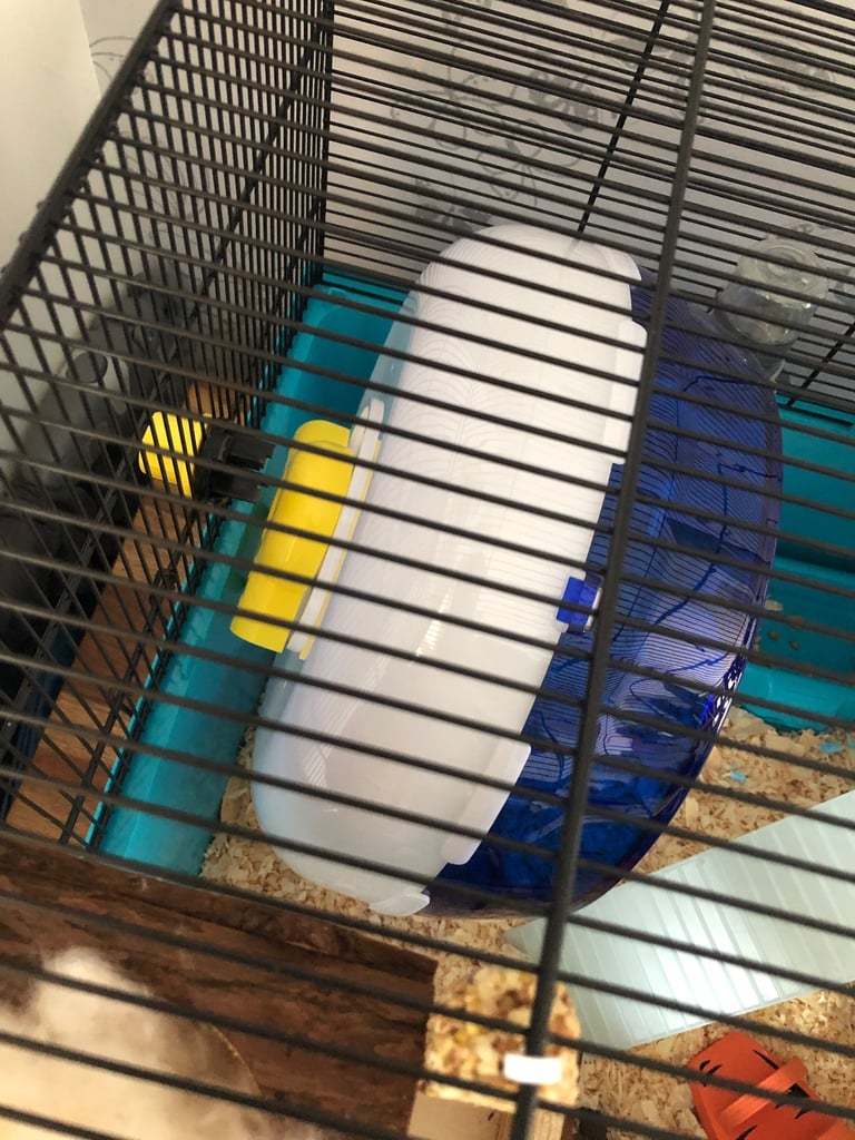 Pets at Home Hamster & Mouse Cage Blue X Large