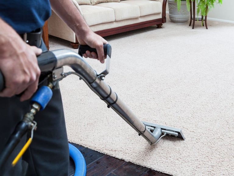 Carpet And Upholstery Cleaner Service - Pro Rated Cleaning - Quick Dry & Insured! 