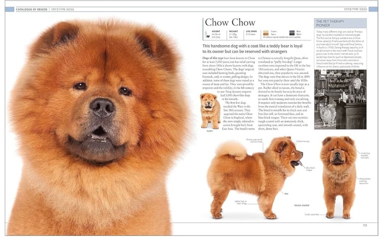 The Dog Encyclopedia: The Definitive Visual Guide (DK Pet Encyclopedias)