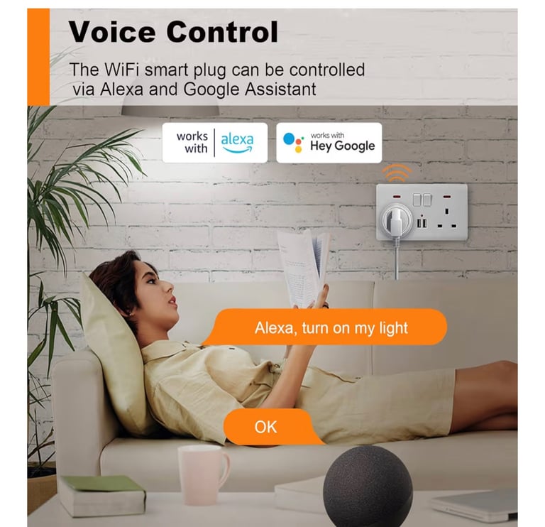 Smart plug ( brand new)