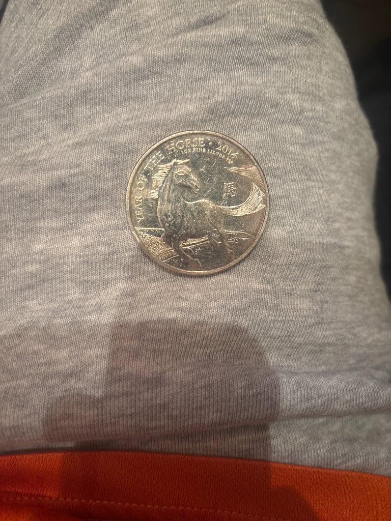 2014 Chinese new year silver coin