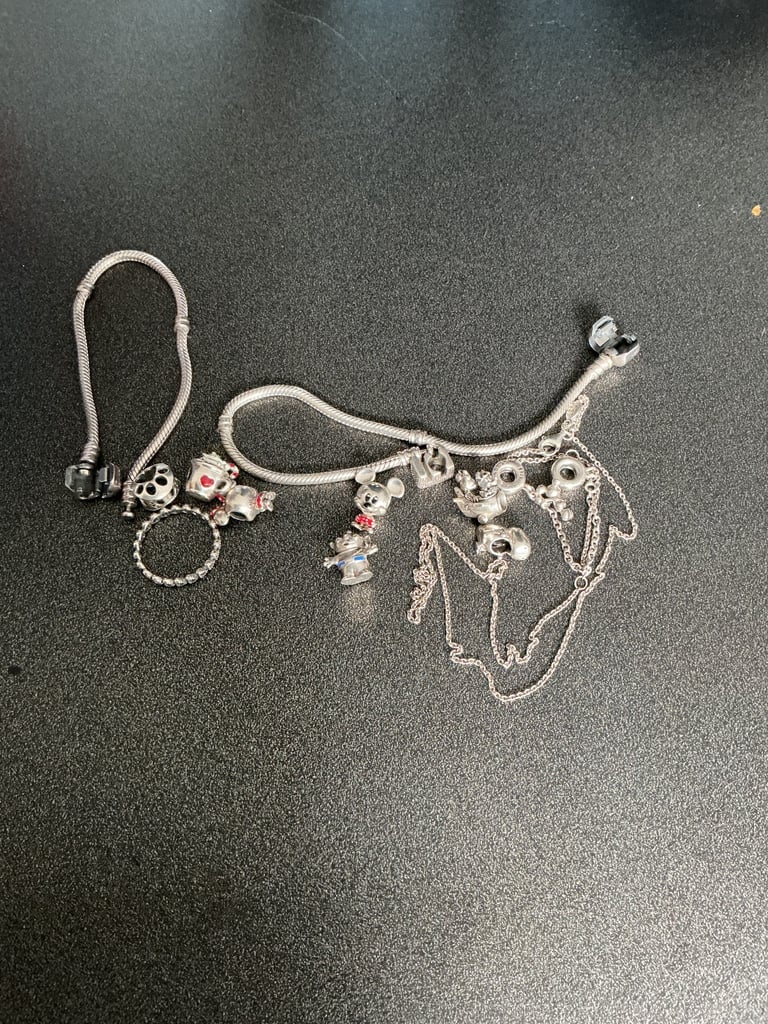 Pandora bundle 