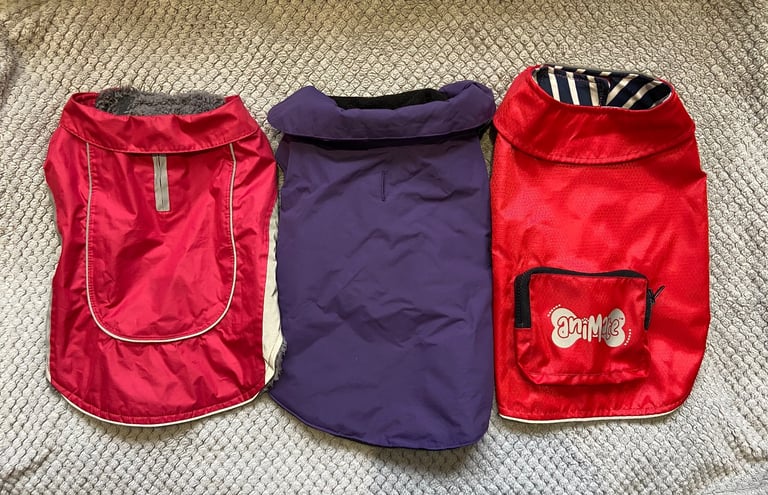 Dog/Puppy Coats x3 Bundle 