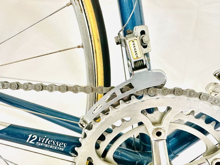 14  Pigeon VITUS Size/58 spDDd9a Original Spec Simplex Road Bike