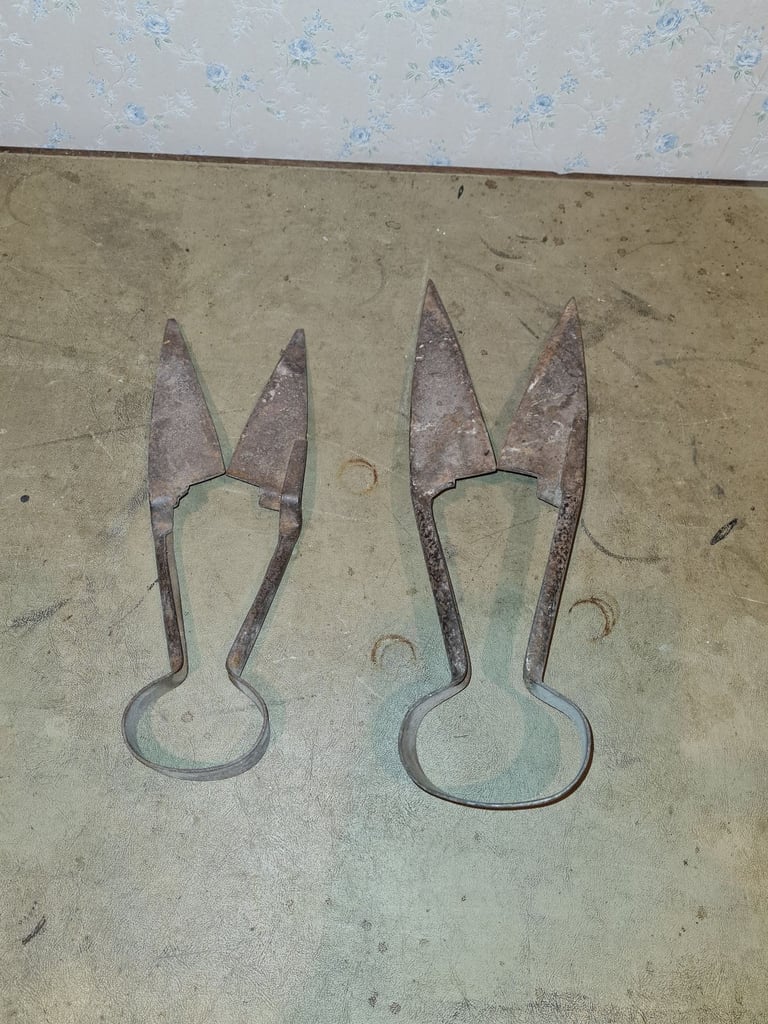 Vintage sheep shears