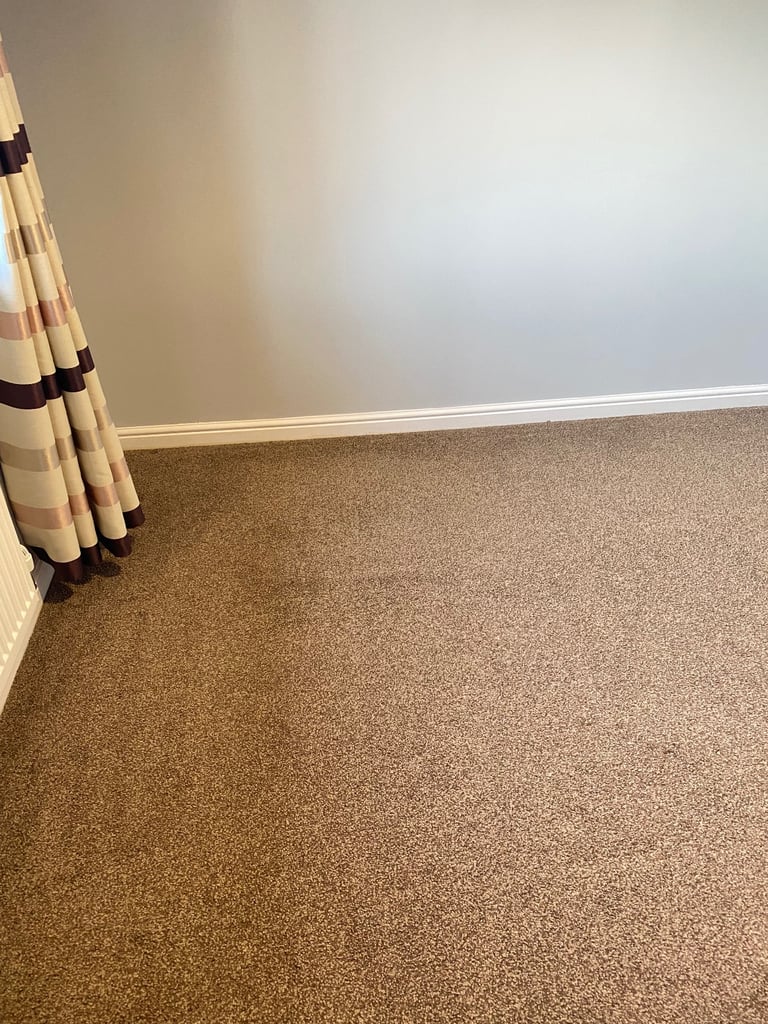 Bedroom carpet great condition - 10 square meter - bargain