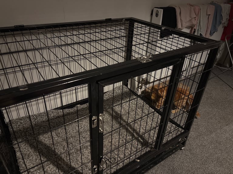 image for XXl dog crate 
