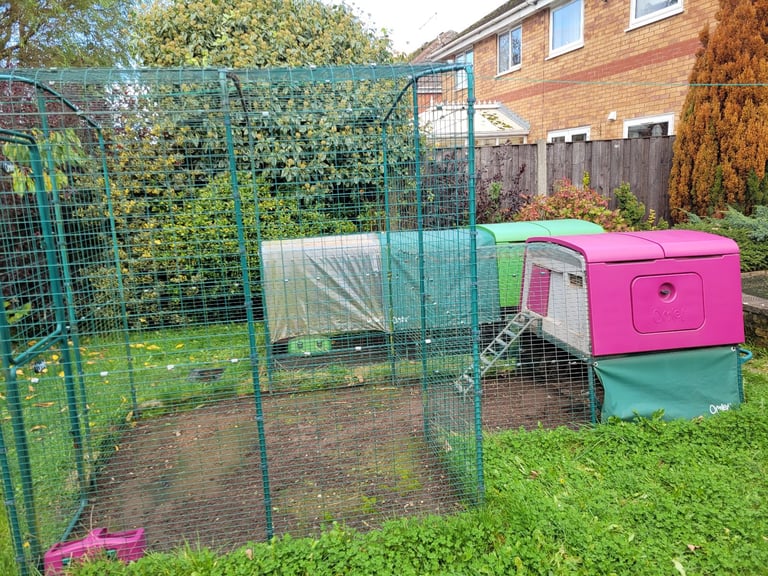 Eglu mk 2 Chicken coup and run