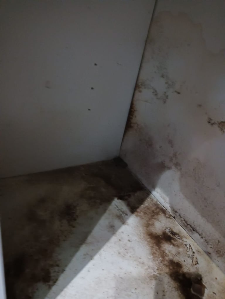 image for House Cleaning, Office Cleaning, End of Tenancy Cleaning, Air B&B, Deep Cleaning Service