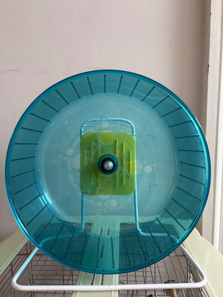 XL Rodent / Pygmy Hedgehog Wheel with stand 