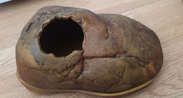 Exo terra snake cave medium