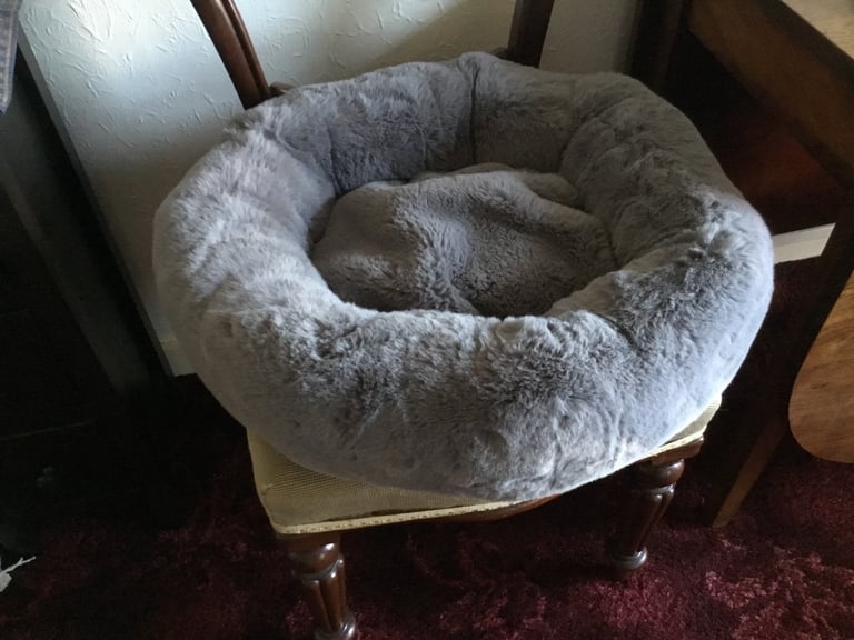 Cat Bed