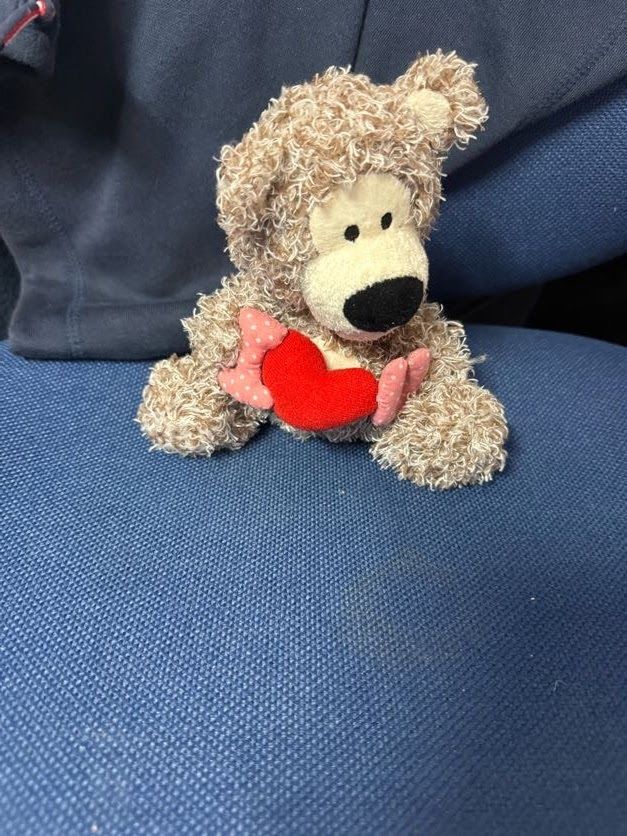 Soft Toy Plush Teddy Bear I Love You Red Heart Cuddle Toy gift Present