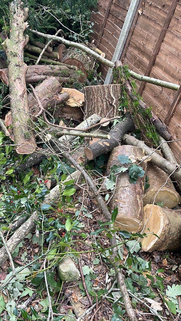 Tree surgeon and hedges chimney removal 