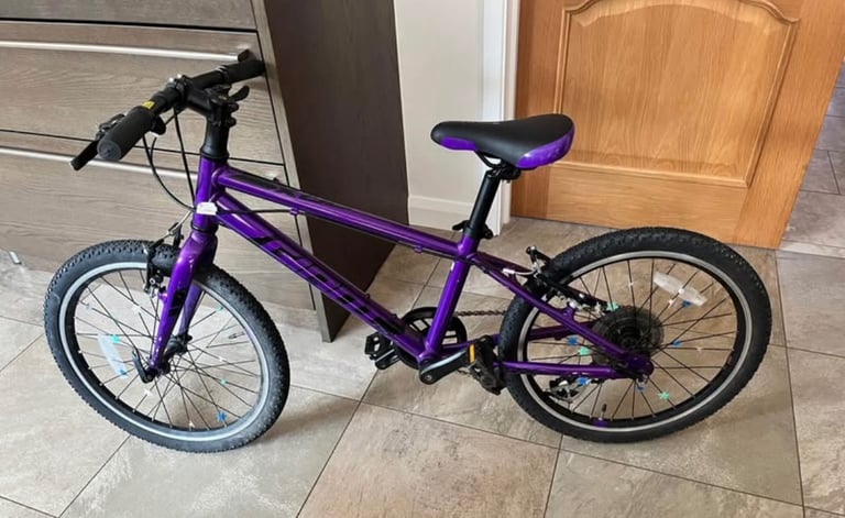 Giant ARX 20 Childs bike
