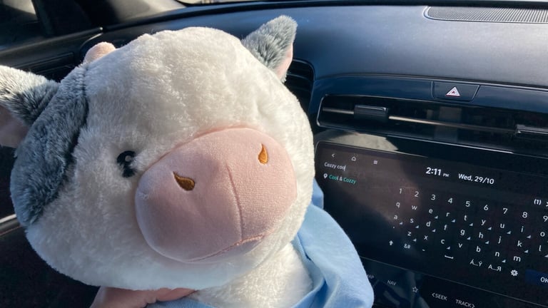 2021 Hyundai TUCSON 1.6 TGDi N Line S 5dr 2WD ESTATE PETROL Manual