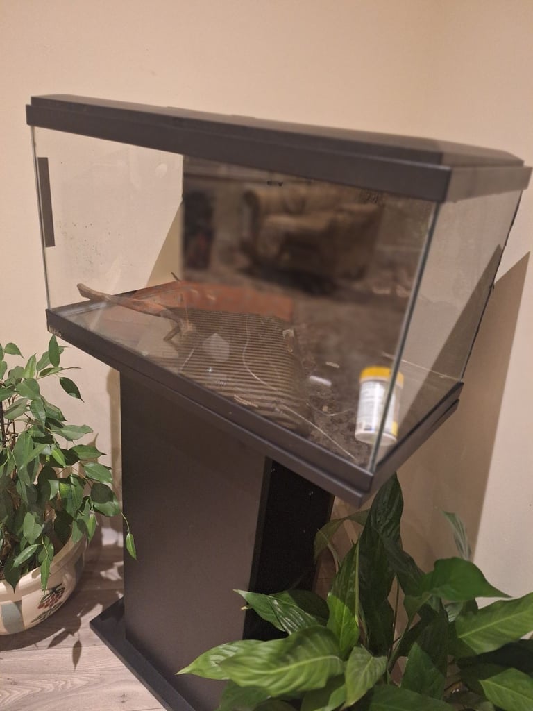 Aquarium fish tank with stand 