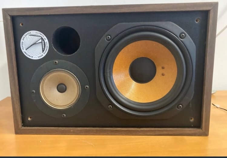 Bose Viacom Speakers X2