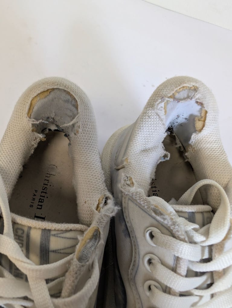 Dior Addict Cloth Trainers