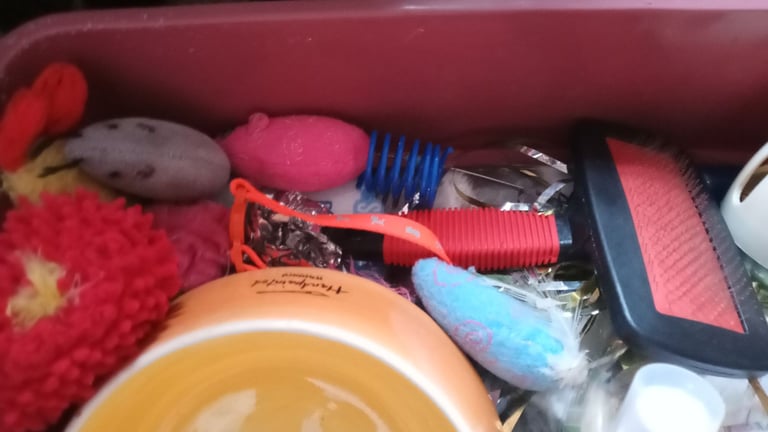 Cat bundle good condition £10