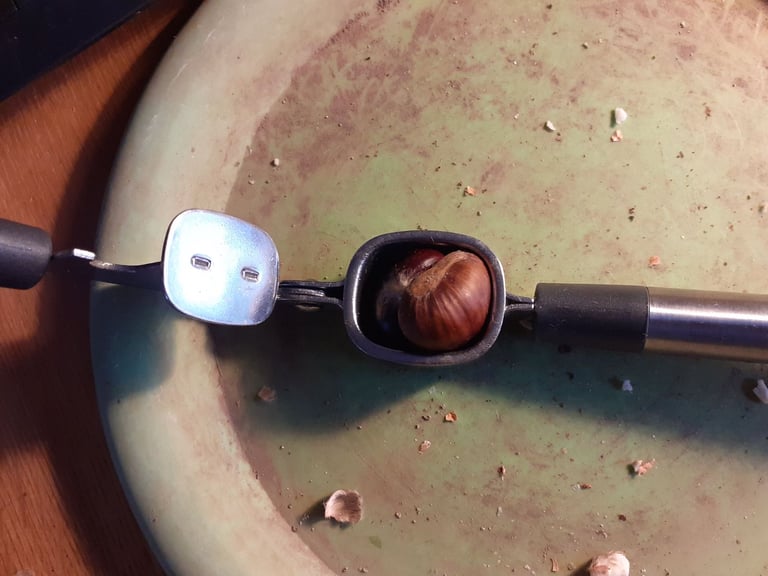 image for snack size English Sweet Chestnuts x 80 - open with a garlic press