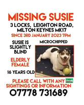 Missing/stolen 16 year old Female Jack Russell, spayed/chipped