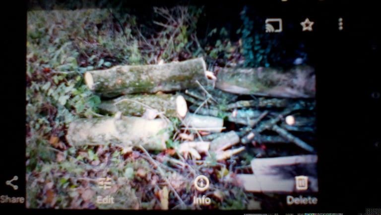 image for Logs for firewood