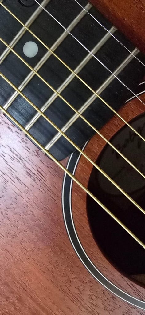 Taylor BT2 guitar with gig-bag in lovely condition with rich sound.