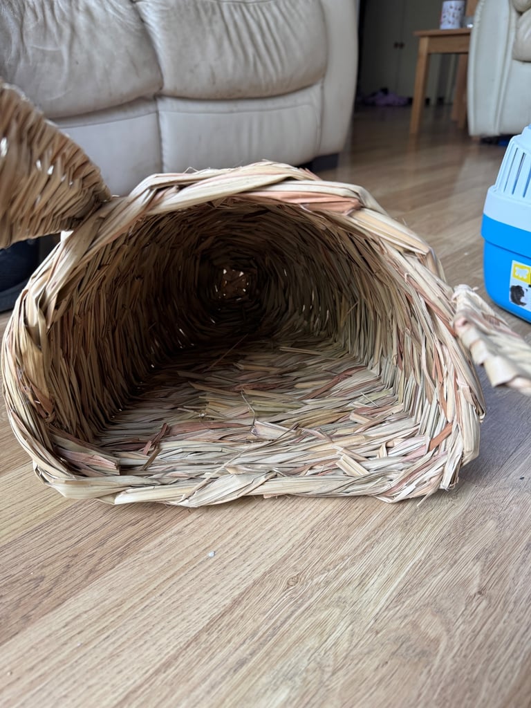 Guinea pig accessories