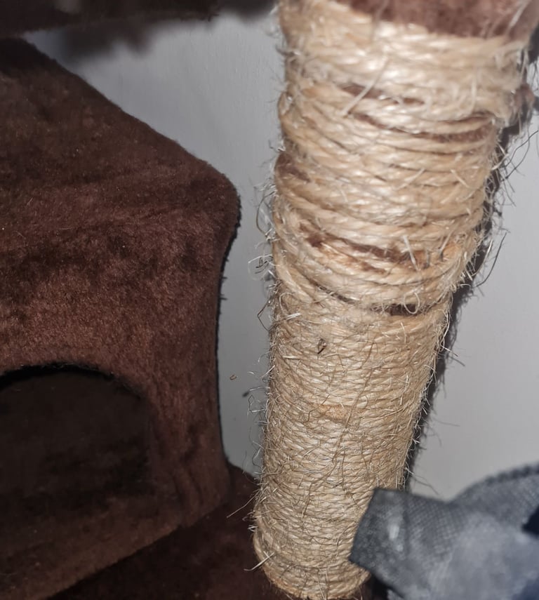 Cat tree and accessories for kittens